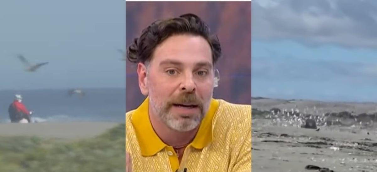 “No va a ir una mujer a enfrentar un jeep con cuatro hueones arriba, ¡que más encima están curaos!“, Neme ante nula fiscalización en playas - La Cuarta