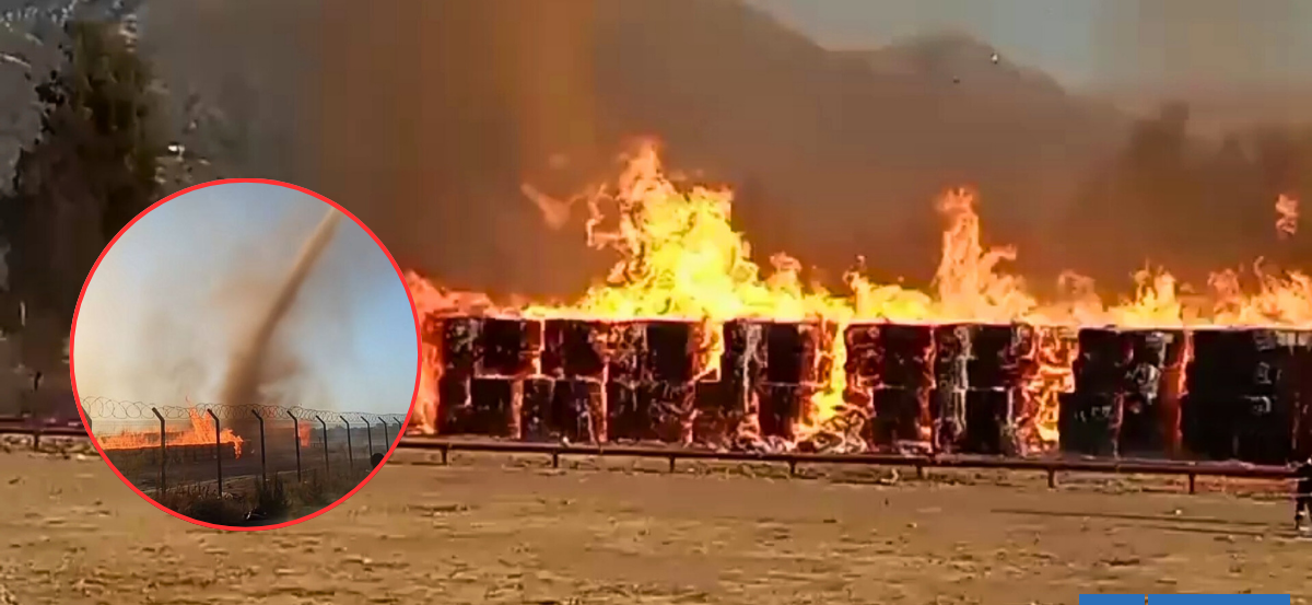 Incendio consume papelera de CMPC ubicada en Puente Alto: Senapred solicita evacuar sectores aledaños