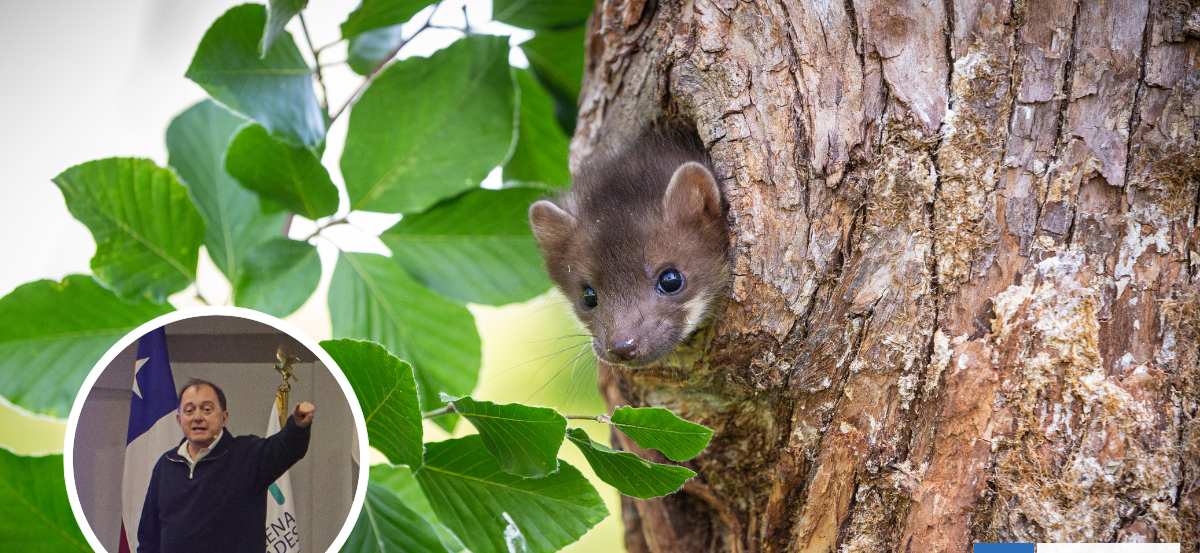 Ni lauchas ni arboles rebeldes: sólo autoridades anticiencia