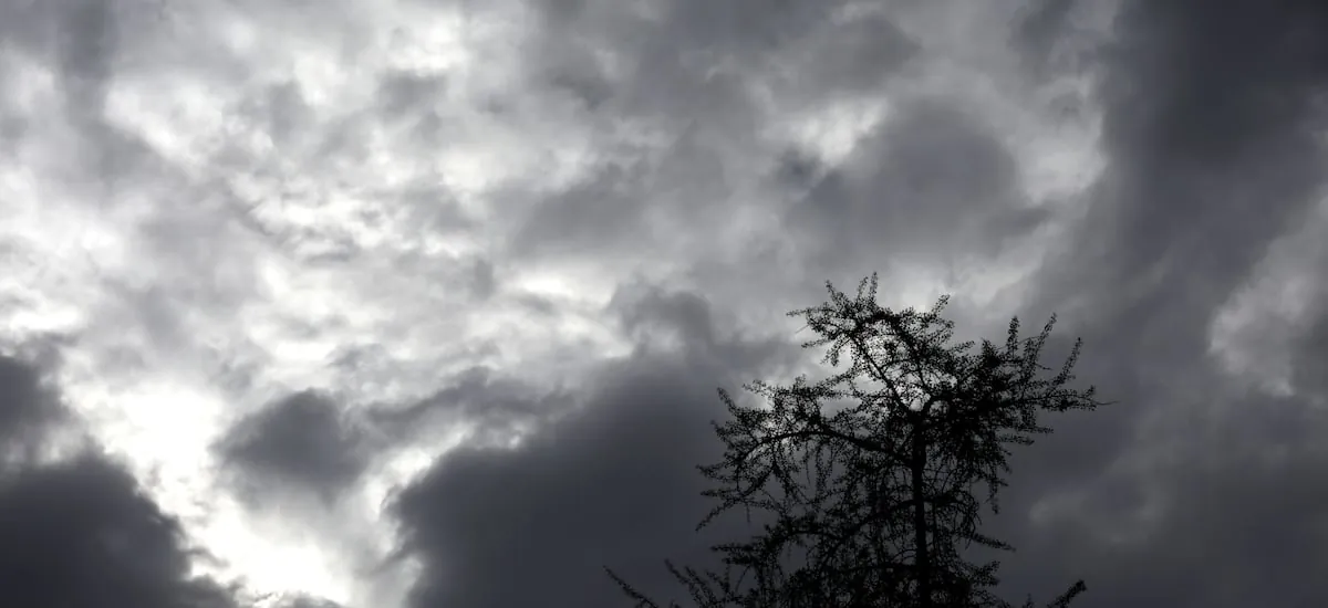 Alertan probables nubes tornádicas y fuertes vientos entre las regiones de Los Ríos y Aysén