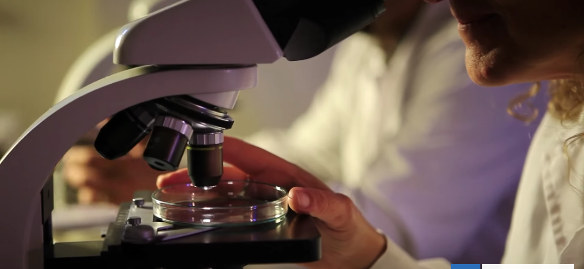 UST obtiene cuatro proyectos Fondecyt Regular financiados por ANID enfocados en ciencia y tecnología