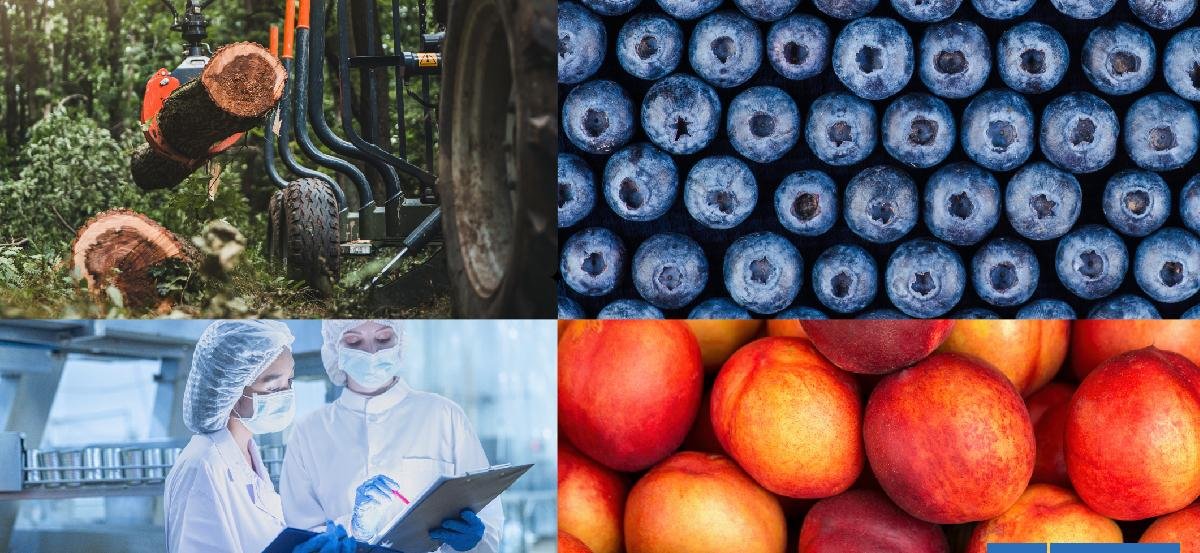 Las exportaciones chilenas de bienes arrancaron 2026 con un enero histórico: más de US$10.000 millones