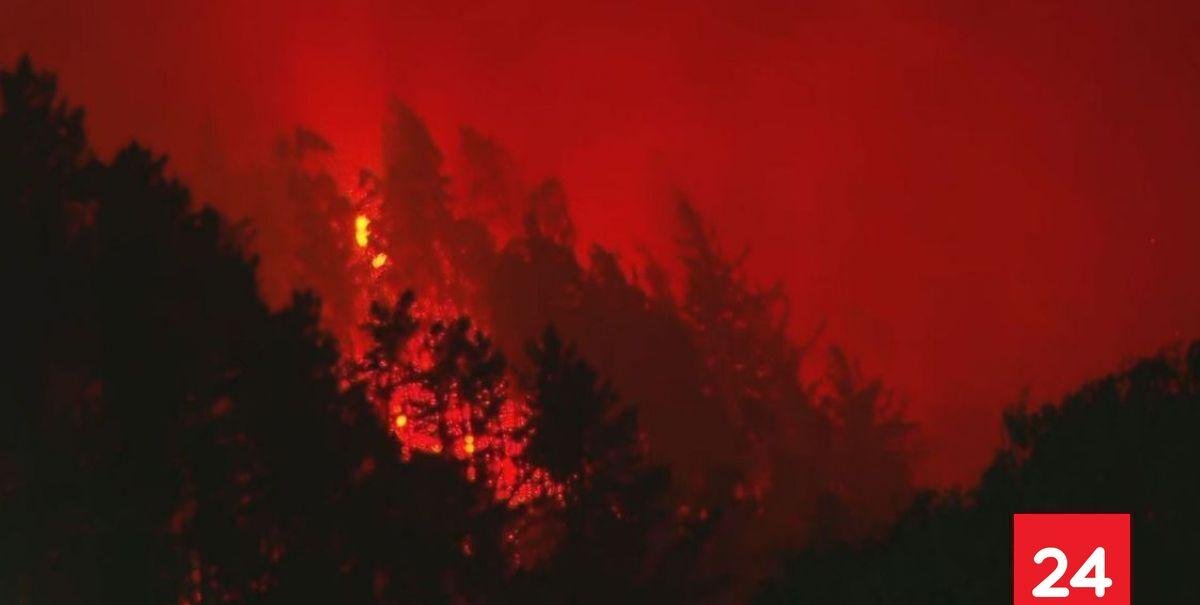 Alcalde de Penco y versión de Bomberos: “Hay una persona adulta y una niña que han fallecido”