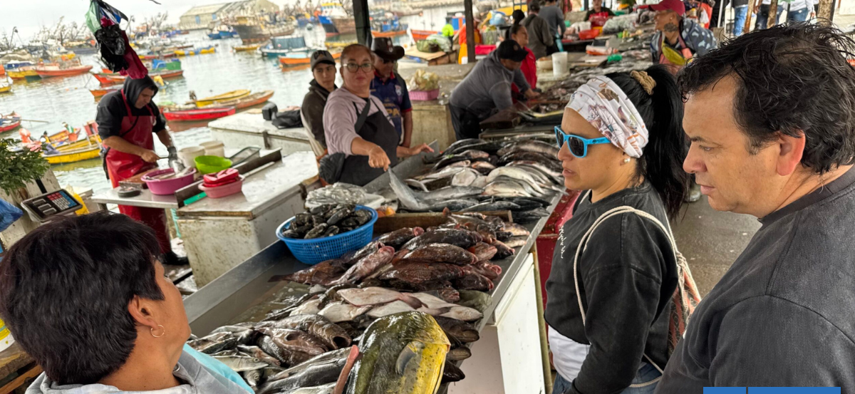 Bajó el desempleo en la región de Arica: Educación, Agricultura y Pesca son los rubros con más empleos