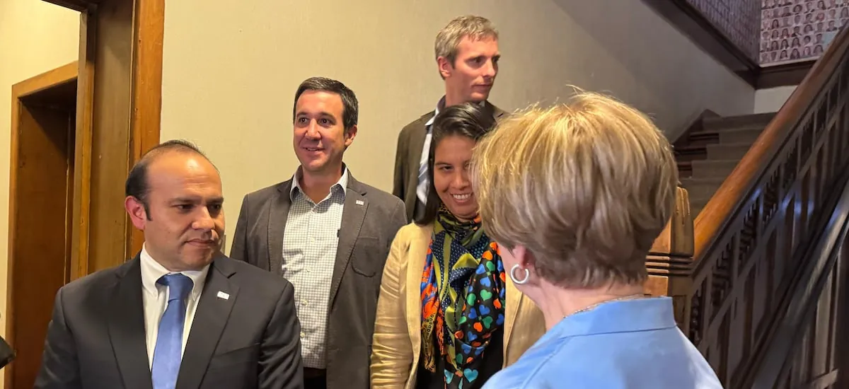 La otra generación pingüina