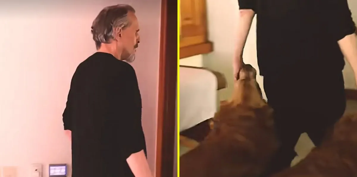 "Junto a mi perro": Miguel Bosé publica video usando audio de interpretación de Mauricio Pinilla de "Si tú no vuelves"