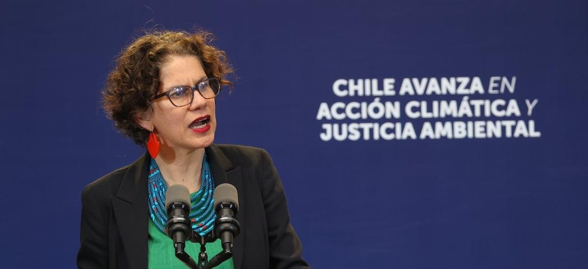 Tras fallo judicial: Gobierno destaca rechazo del Comité de Ministros al proyecto Dominga