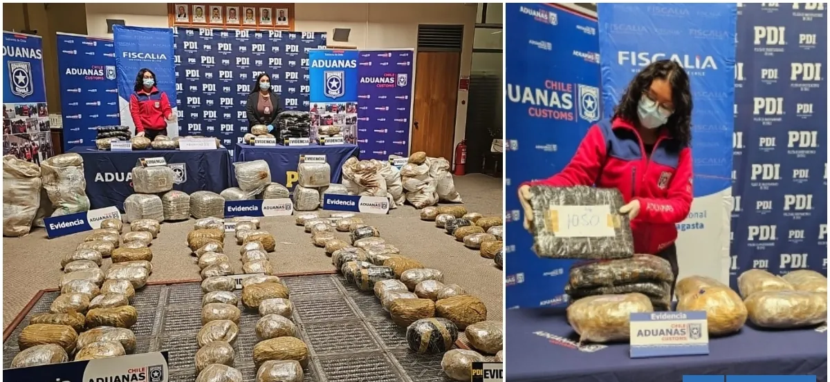 Encuentran 352 kilos de marihuana ocultos en camión cisterna en paso fronterizo Ollagüe