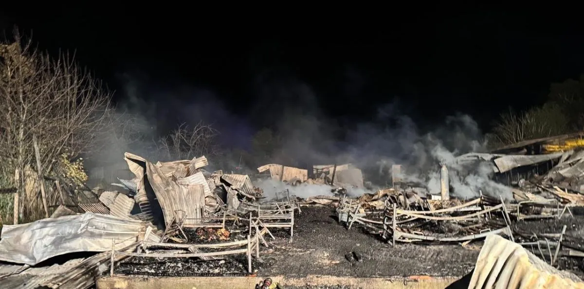Tragedia en Pitrufquén: incendio en hogar de adultos mayores dejó 16 muertos