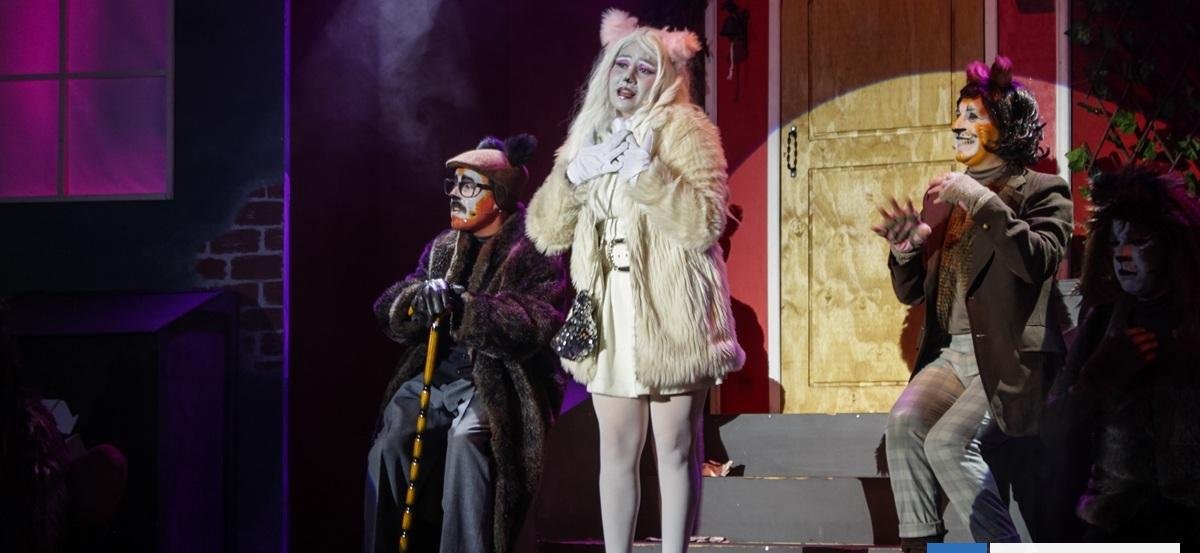 Festival Porteño de Teatro Verano FESTEVE 2026 celebra su nueva versión: aporte es voluntario