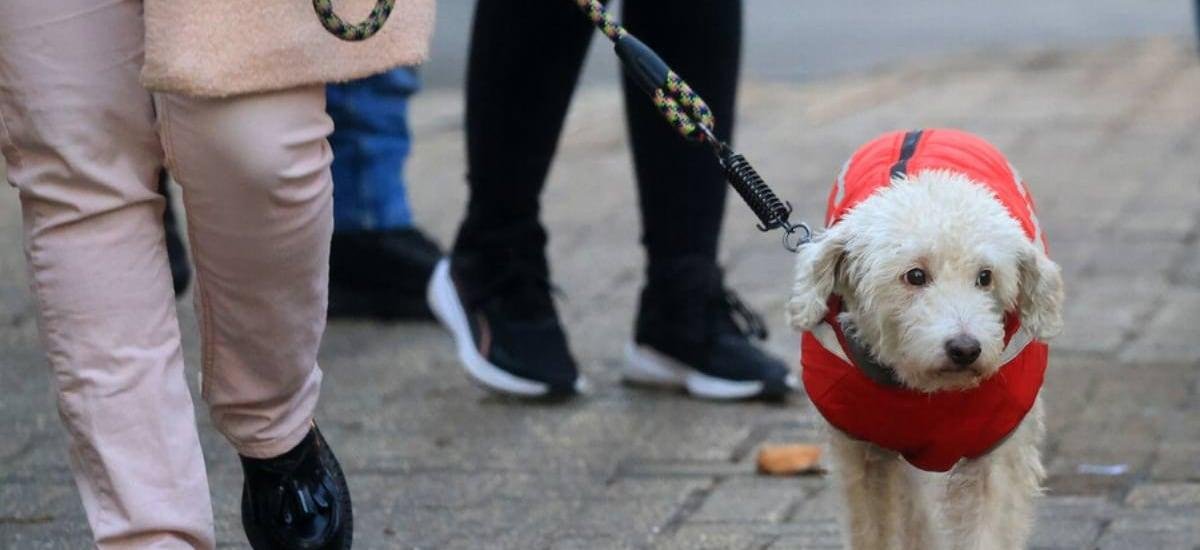 En qué comunas de la Región Metropolitana caerá lluvia hoy, según el tiempo