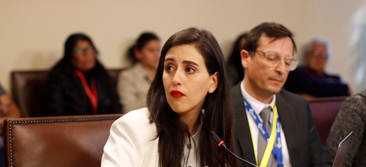 Desorden y falta de control: Contraloría fustiga a Viña del Mar por gestión de ayudas tras megaincendio