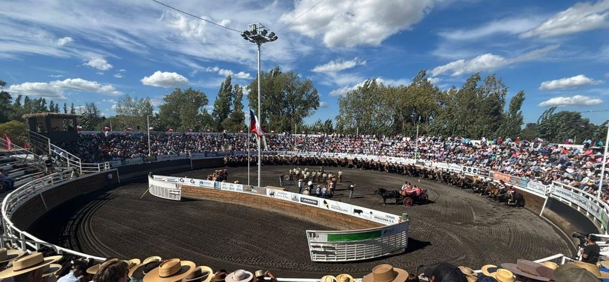 Los Angeles da el vamos a la fase final del Rodeo Chileno de cara al 77° Campeonato Nacional