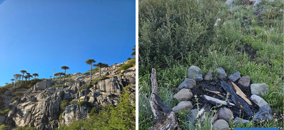 Denuncian presencia de fogatas y fecas humanas al interior del Parque Nacional Conquillio