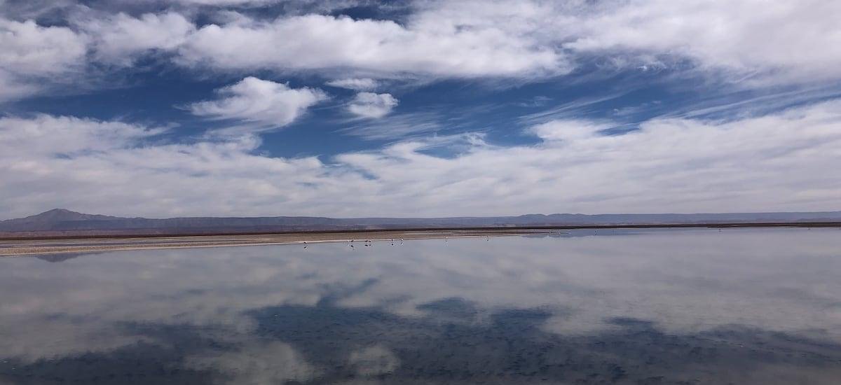 SQM provisionó casi US$ 50 millones para pagar dividendo extraordinario a Codelco