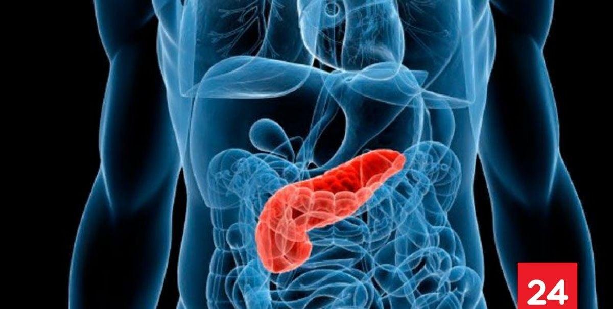 Hito mundial: estudio logró eliminar cáncer de páncreas en ratones por primera vez