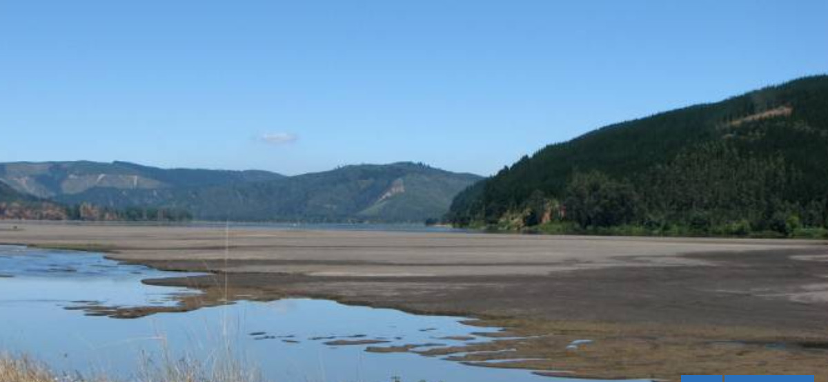 Preocupación por bajo caudal del Río Bío Bío: pocas precipitaciones durante 2025 sería la causa