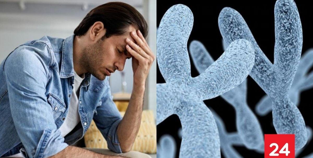 ¿Se extinguirán los hombres? La verdad sobre el cromosoma Y