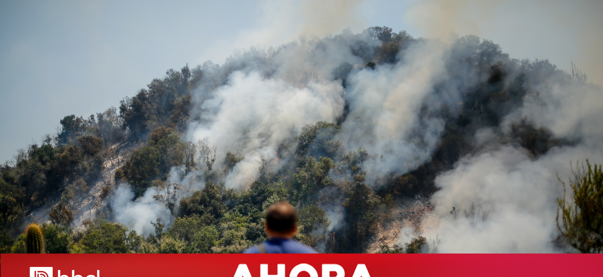 Cancelan Alerta Roja para la comuna de Machalí por incendio forestal: fuego fue controlado