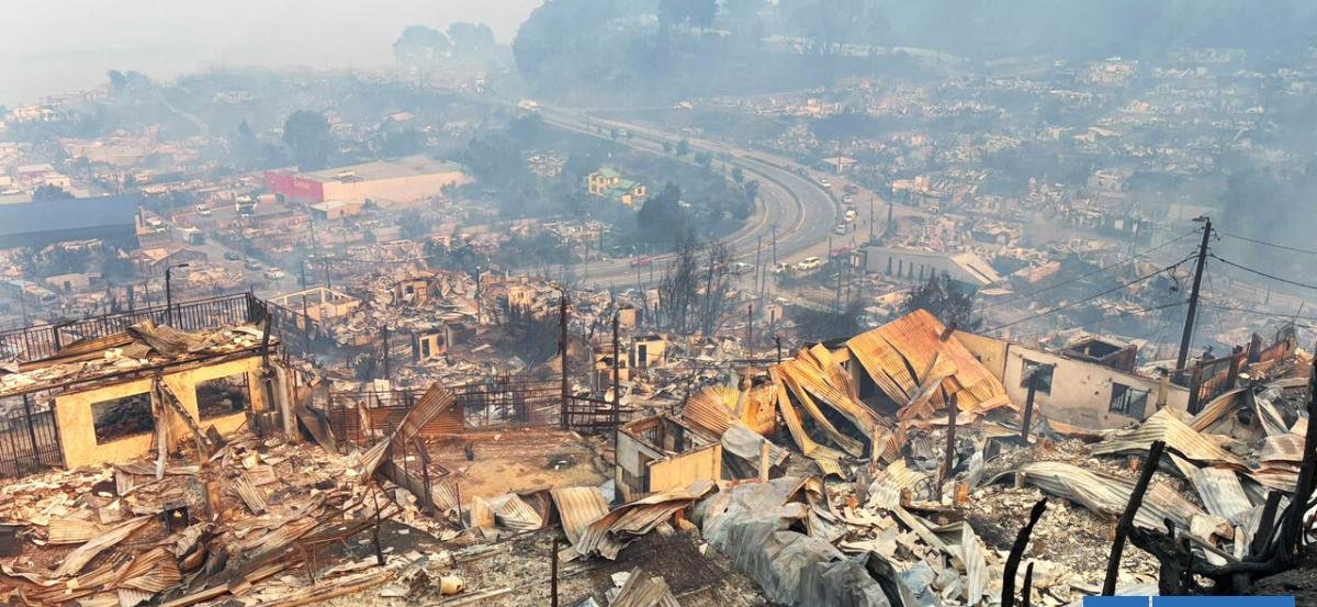 Al menos 14 muertos deja incendio forestal en Penco