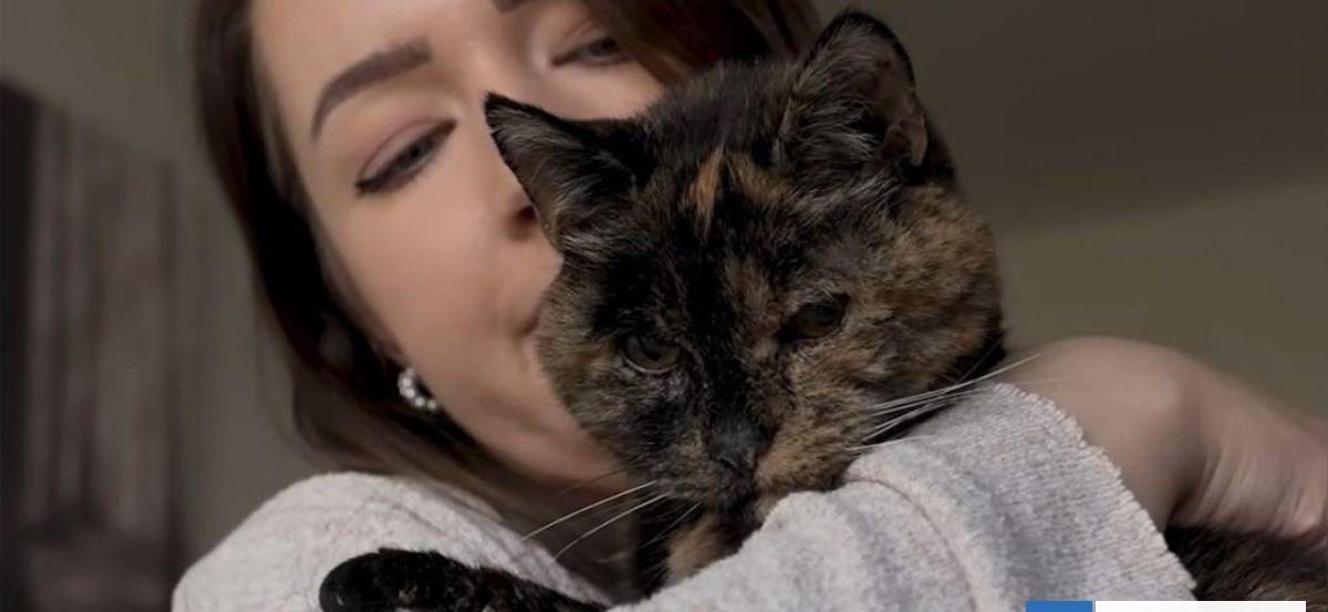 La gatita viva más longeva del mundo cumplió 30 años (120 de humanos): está ciega y sorda