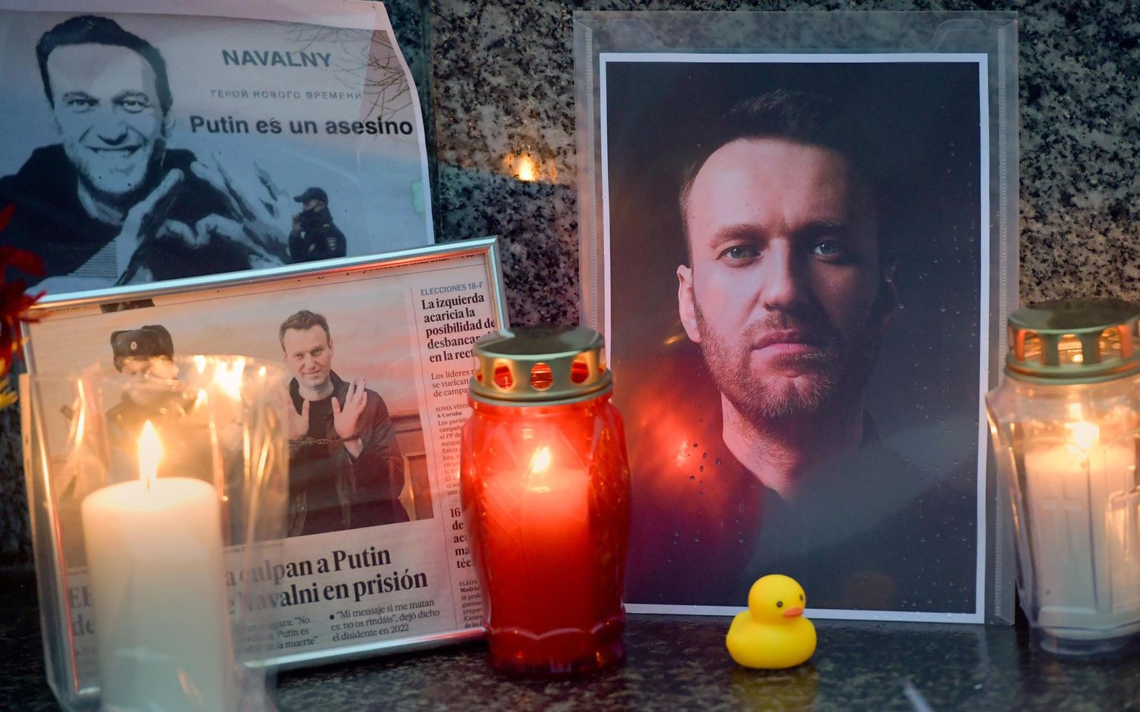 Alexey Navalny habría muerto envenenado con una toxina letal presente en ranas venenosas de América del Sur