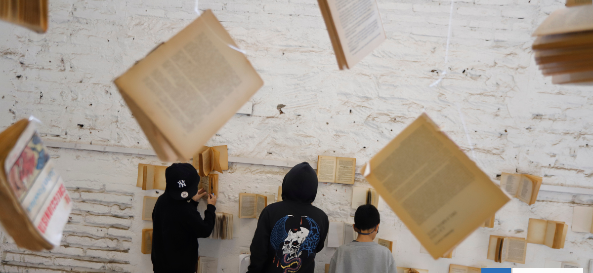 Una calificación injusta: la política cultural bajo la lupa de los hechos