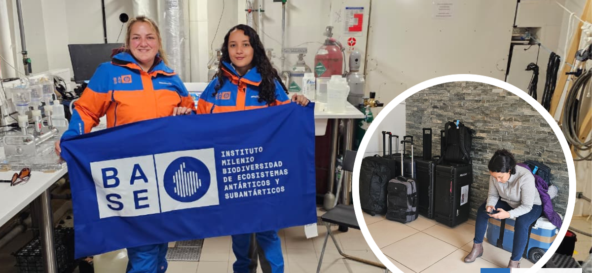 Una maleta puede decidir el destino de una expedición antártica