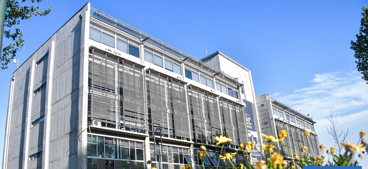 Municipalidad de Maipú denuncia a supuesta dirigenta de campamento Santa Marta por estafa a familias