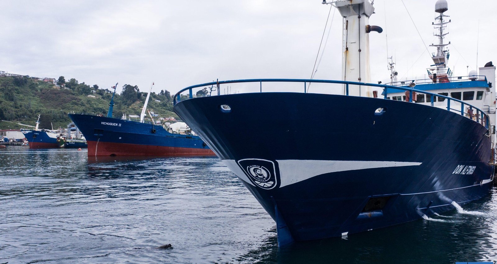 Otra pesquera a tribunales: Blumar se suma a Camanchaca y demandará al Estado por fraccionamiento