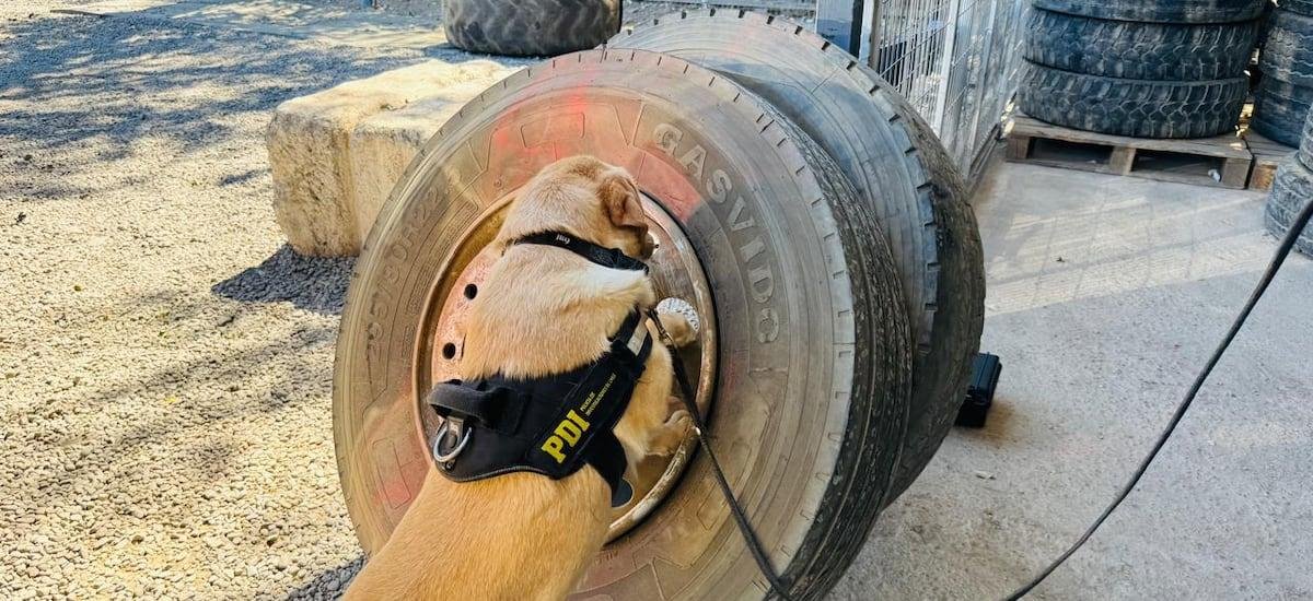 Incautan más de 350 kilos de droga que transportaban ocultos en un camión en Melipilla - La Tercera