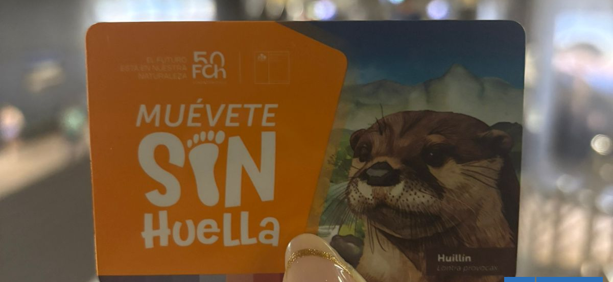 Con la figura del huillín: lanzan nueva tarjeta Bip! para concientizar sobre la crisis climática