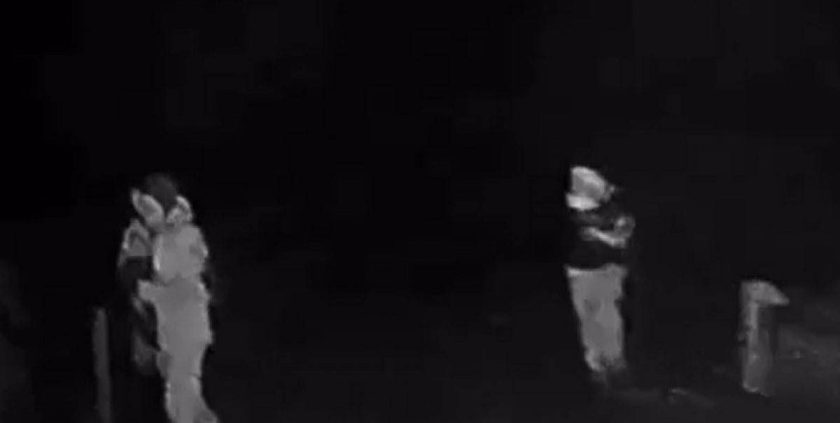 Impactantes imágenes: el video del ataque en Victoria que terminó con guardia forestal fallecido