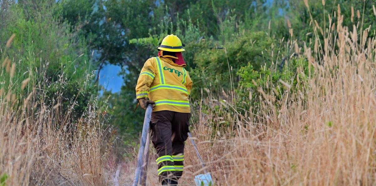 Alerta roja para comunas del Biobío y La Araucanía por incendios forestales