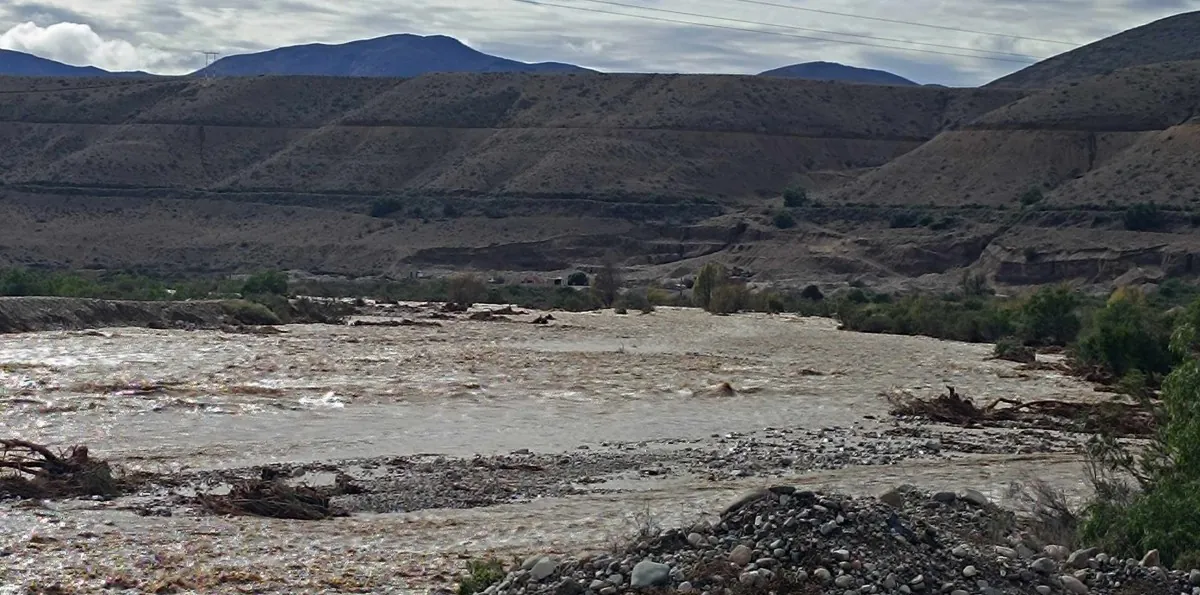 La Araucanía entra en emergencia agrícola tras sistema frontal: Gobierno anuncia apoyo para productores