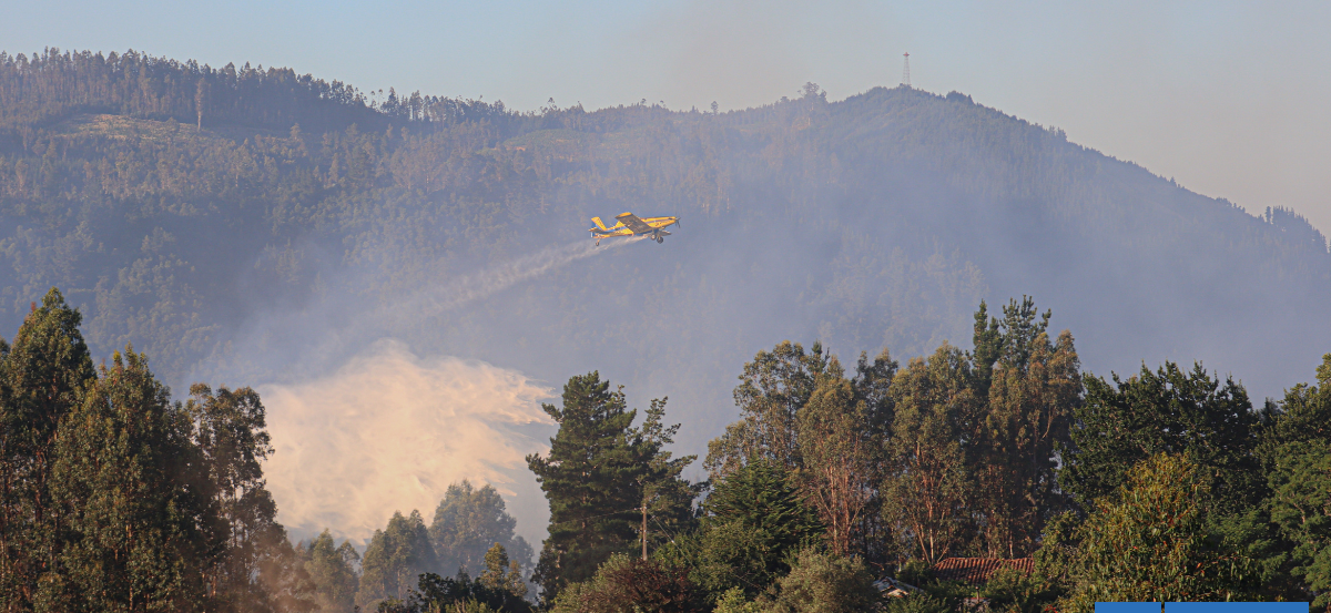 Más de 67 mil hectáreas de plantaciones forestales reabren debate por riesgos en región de Los Lagos
