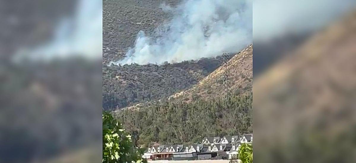 Incendio forestal afecta a la Quebrada de Macul y moviliza despliegue aéreo y terrestre en Peñalolén