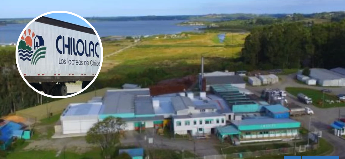 Chilolac despidió sin indemnizaciones por años de servicio a 110 trabajadores en Ancud tras cierre