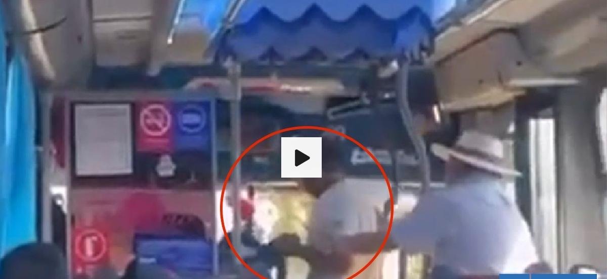 Conductor de microbús es agredido por pasajero tras altercado por traslado de perro en Valdivia
