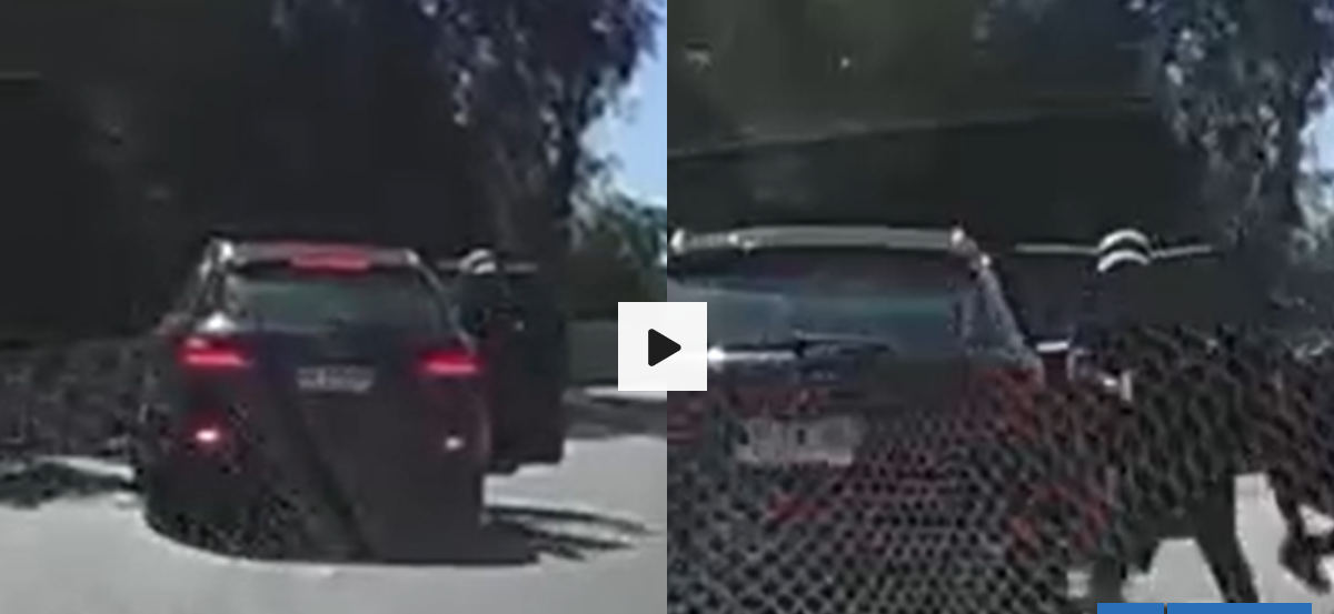 Video de atropello a delincuente en Quilicura da la vuelta al mundo: intento de encerrona se viraliza