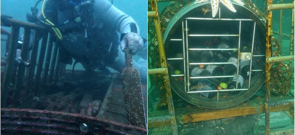 Cava de Mar: el panorama en Pichidangui que permite bucear, rescatar vino y brindar en la superficie