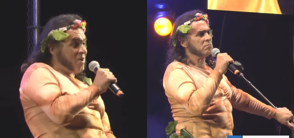 Hizo gesto vulgar y trató al público de "comunista": Arturo Ruiz-Tagle fue pifiado en Puerto Montt