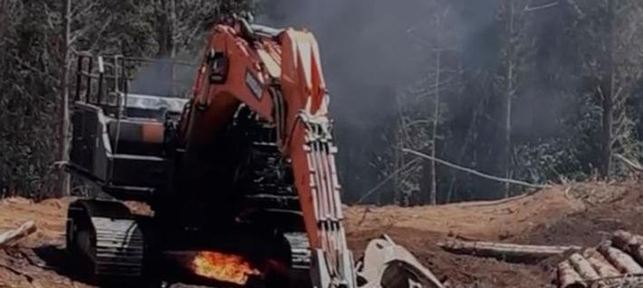 Ataque incendiario en el Biobío: Desconocidos queman dos camiones y una máquina en Contulmo