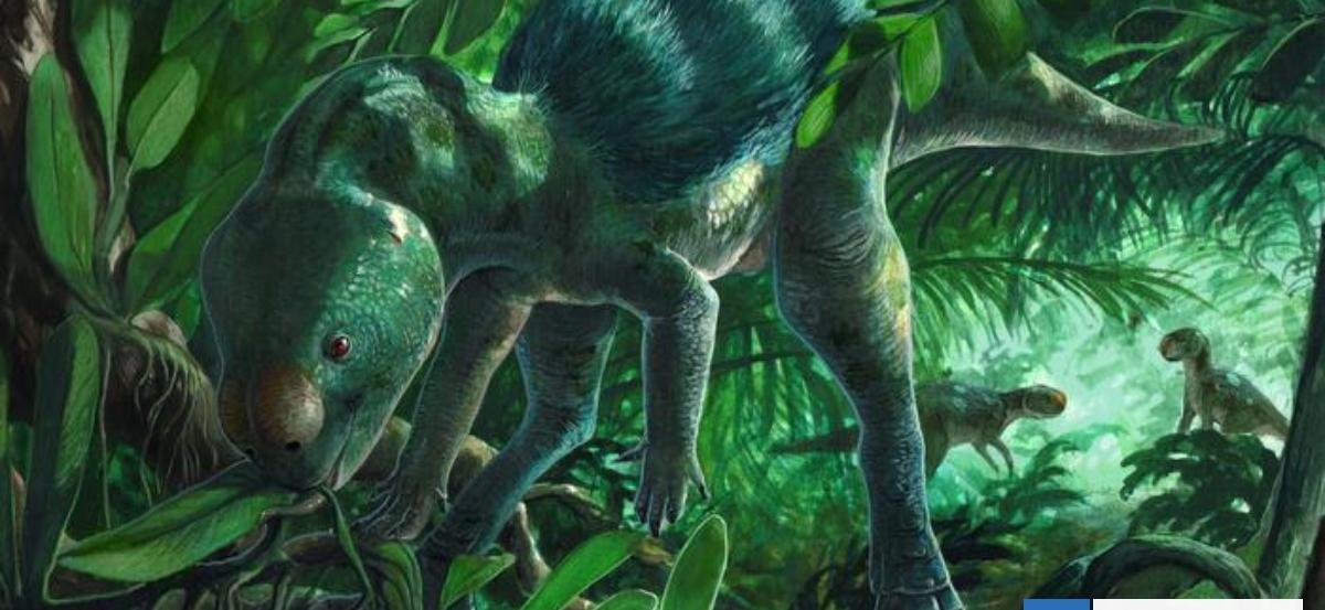 Hallan al dinosaurio más pequeño del mundo, el Foskeia pelendonum: no superaba los 30 centímetros