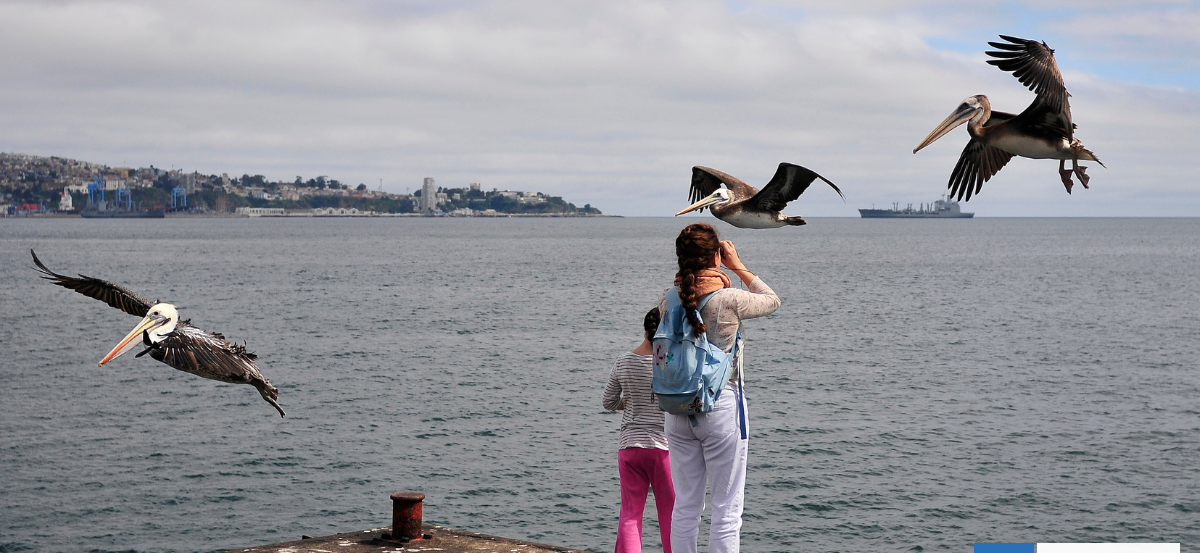El mar chileno como souvenir