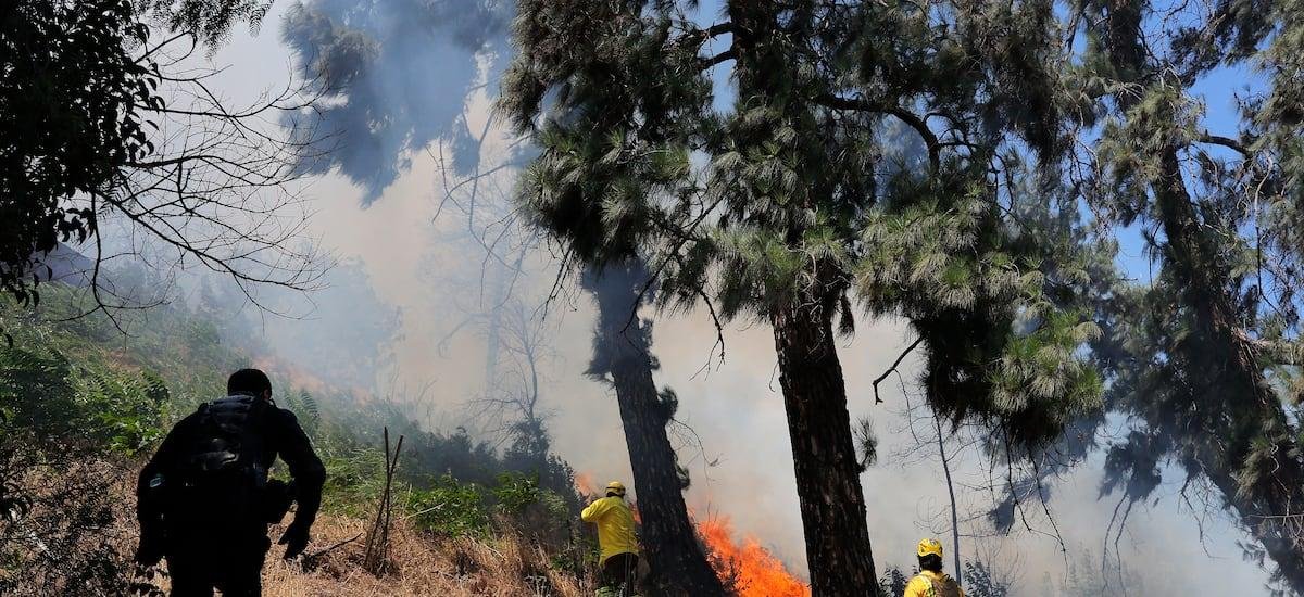 Al menos 250 héctareas han sido afectadas por incendios en Limache y Concón - La Tercera