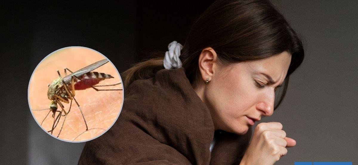 Alerta por dengue en Chile: Minsal asegura que no hay casos autóctonos en territorio continental