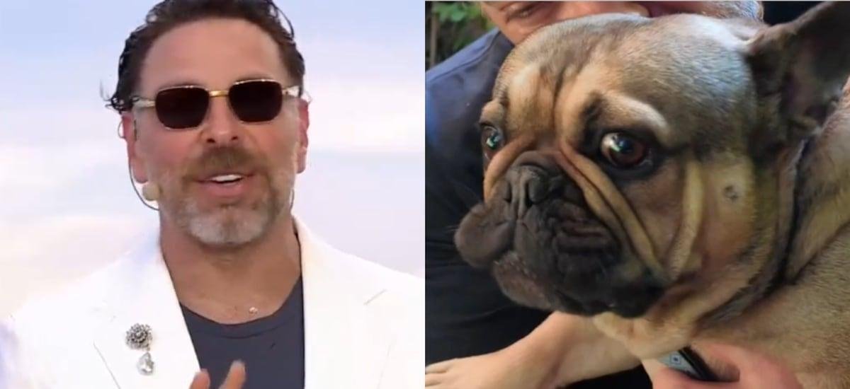 José Antonio Neme regresó a Viña y pidió energía positiva para su perro Frodito: “Está luchando por su vida” - La Cuarta