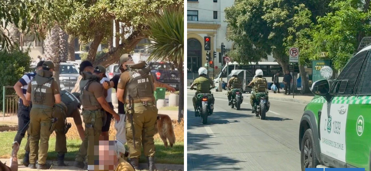 15 detenidos y diversos decomisos deja operativo policial en Viña del Mar