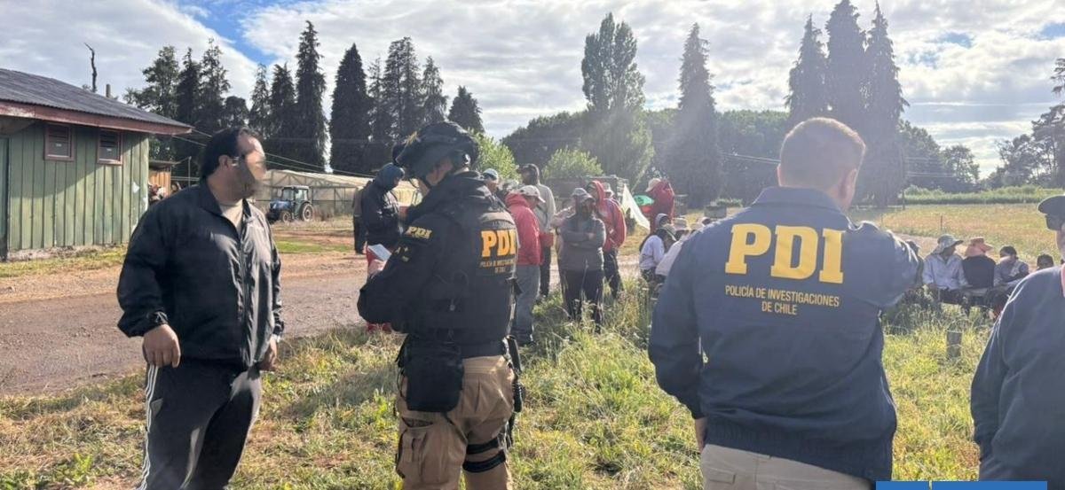 Sorprenden a 40 bolivianos trabajando en fundos de la provincia de Osorno